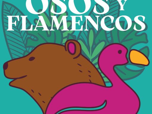 Osos y flamencos