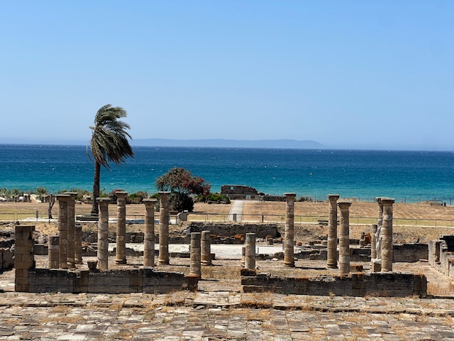 Fundación ADEY visita el proyecto de recuperación del garum en Baelo Claudia