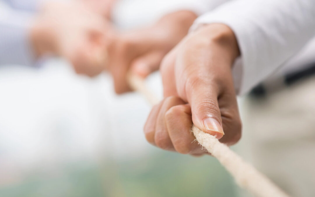 ADEY participa en el Estudio sobre Aportaciones No Monetarias de la AEF